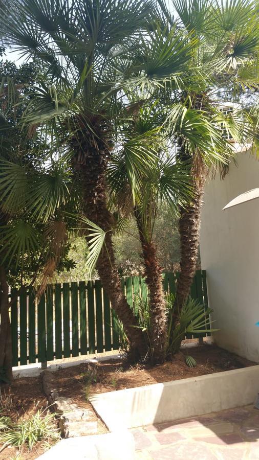 Villa Chabola Денія Екстер'єр фото